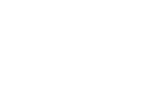 Kiwi's Nest Bayswater